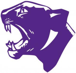 Nashua High School South mascot