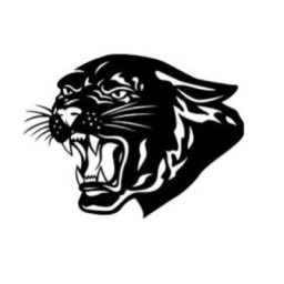 Central York High School mascot