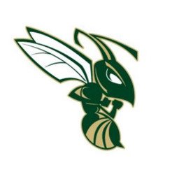 Wilson Memorial High School mascot